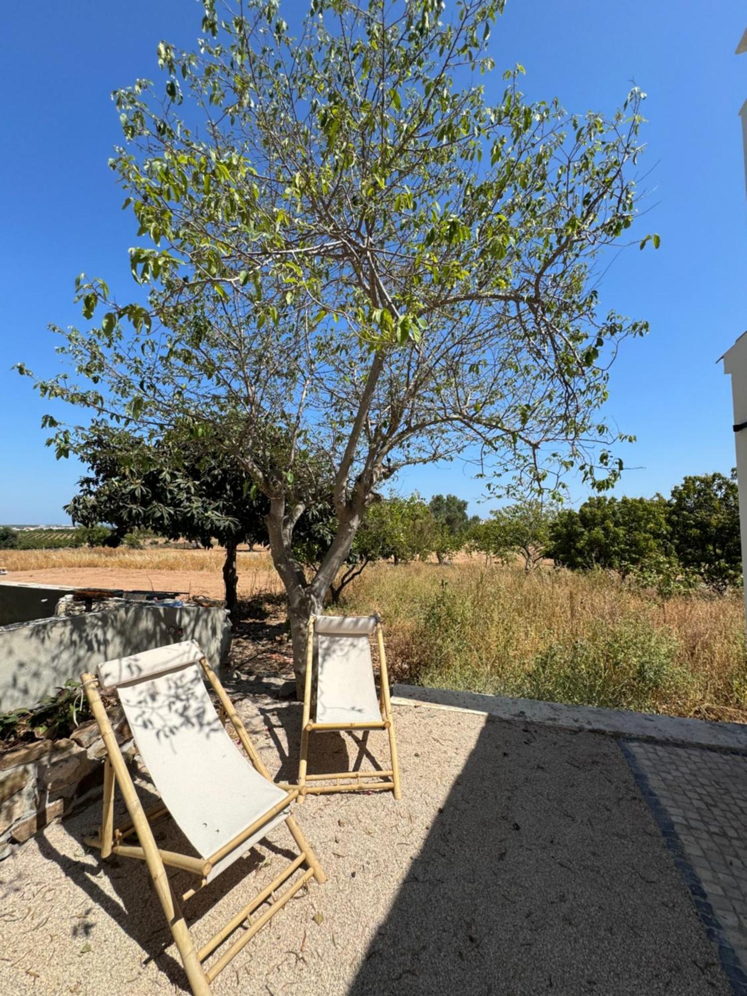Villa Quinta Castor Vila Nova de Cacela Esterno foto