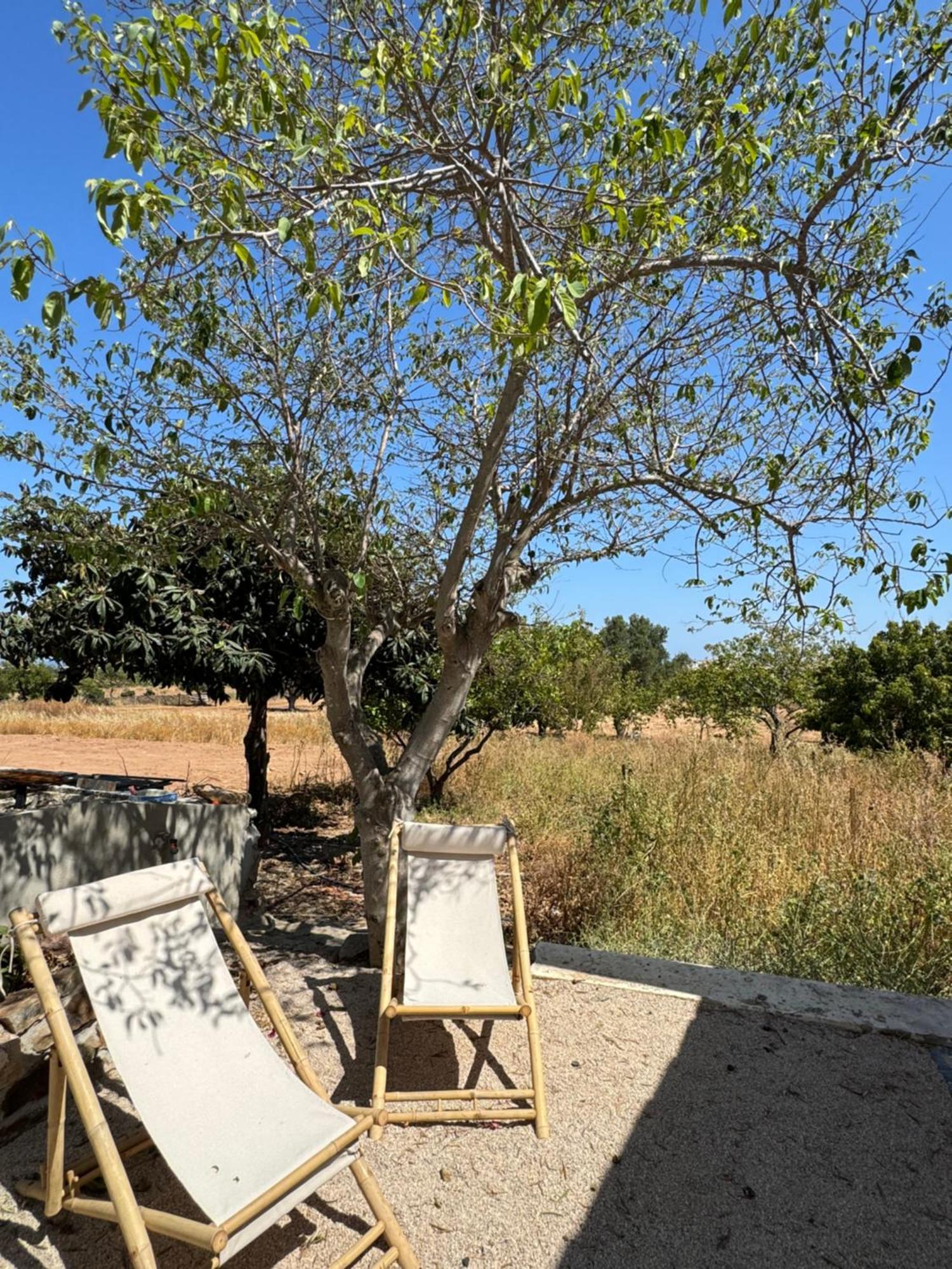 Villa Quinta Castor Vila Nova de Cacela Esterno foto