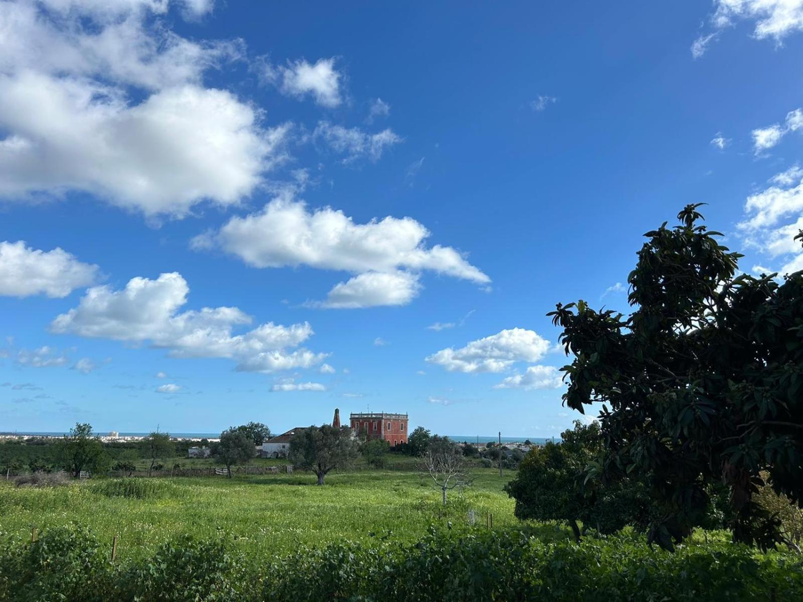 Villa Quinta Castor Vila Nova de Cacela Esterno foto
